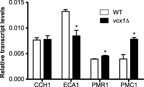 Fig. 6.