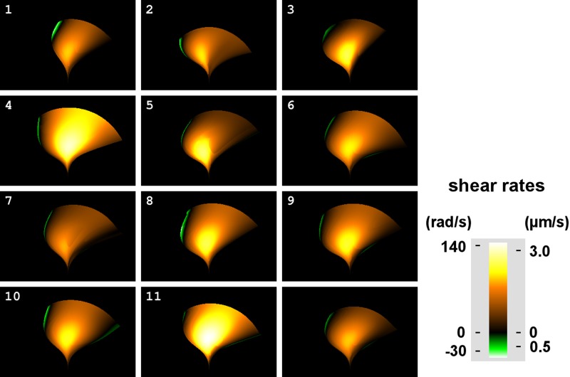 Fig. 14.