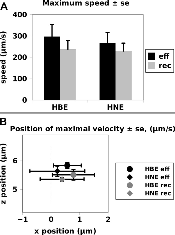 Fig. 9.