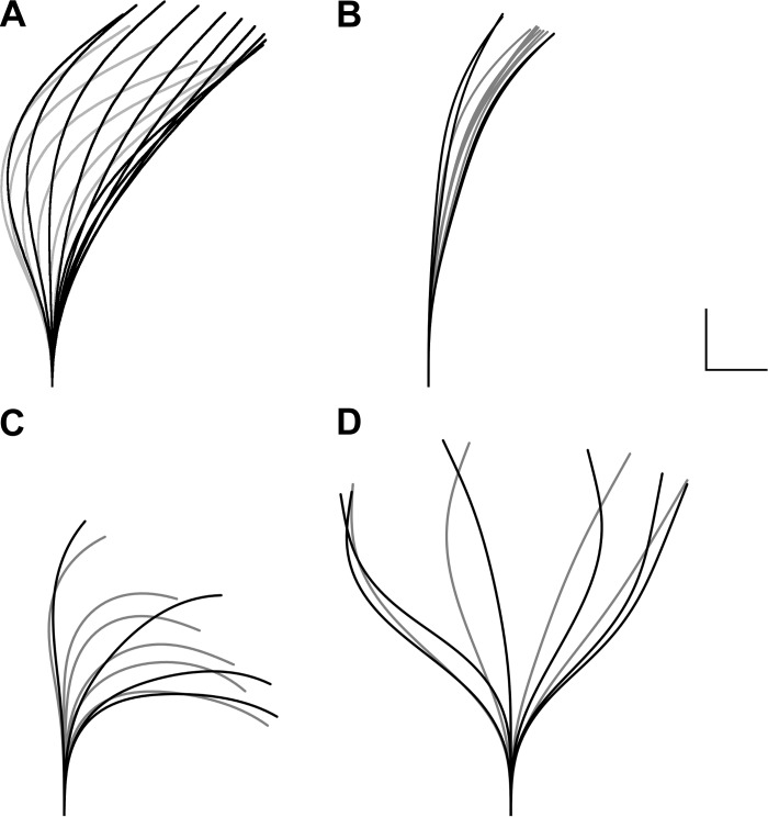 Fig. 11.