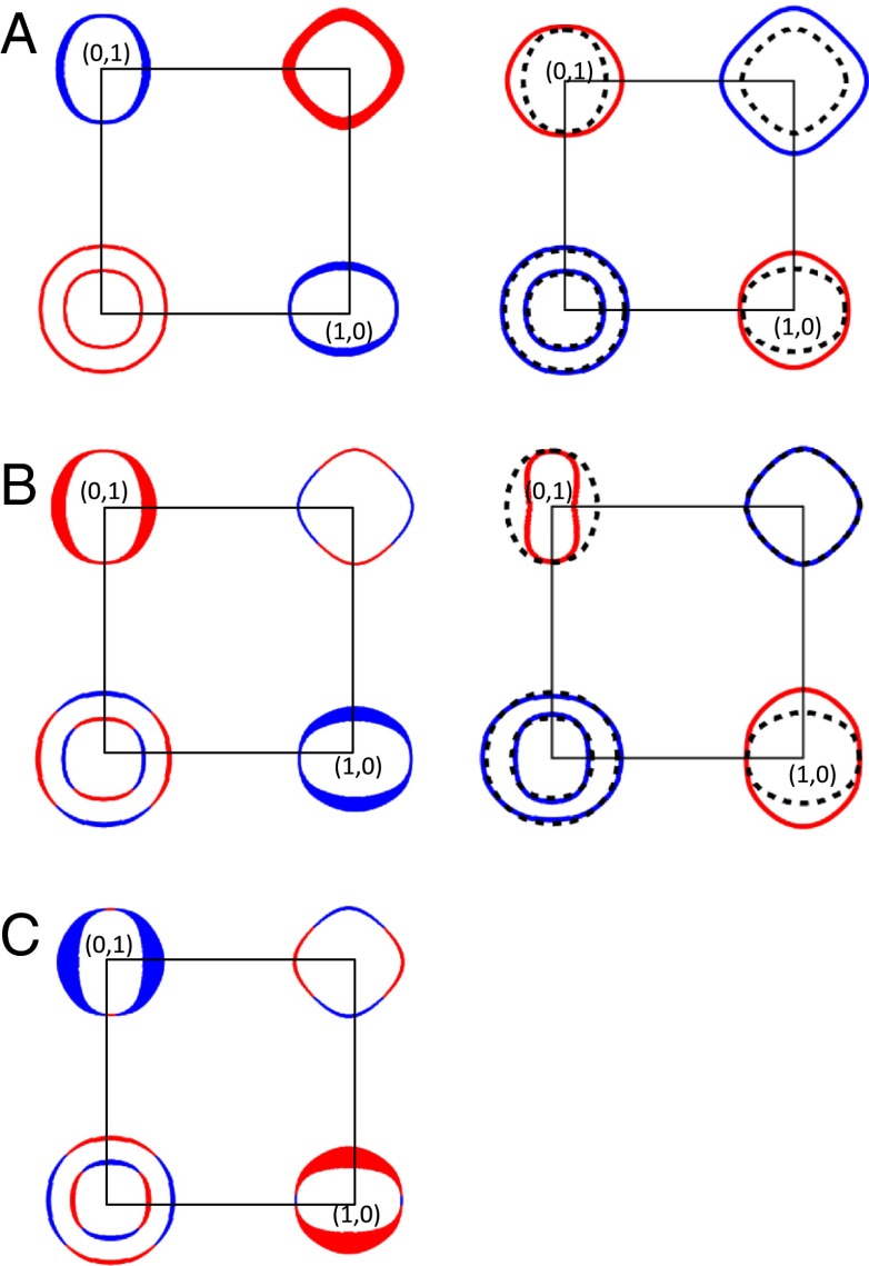 Fig. 8.