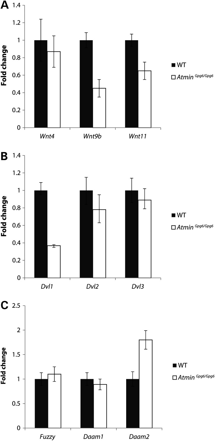 Figure 5.