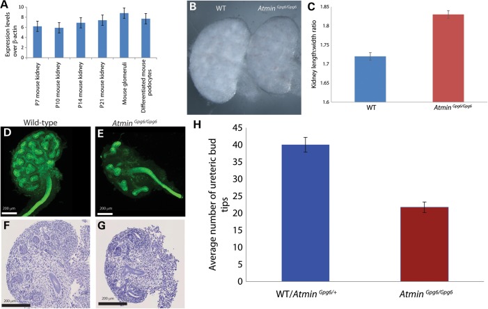 Figure 1.