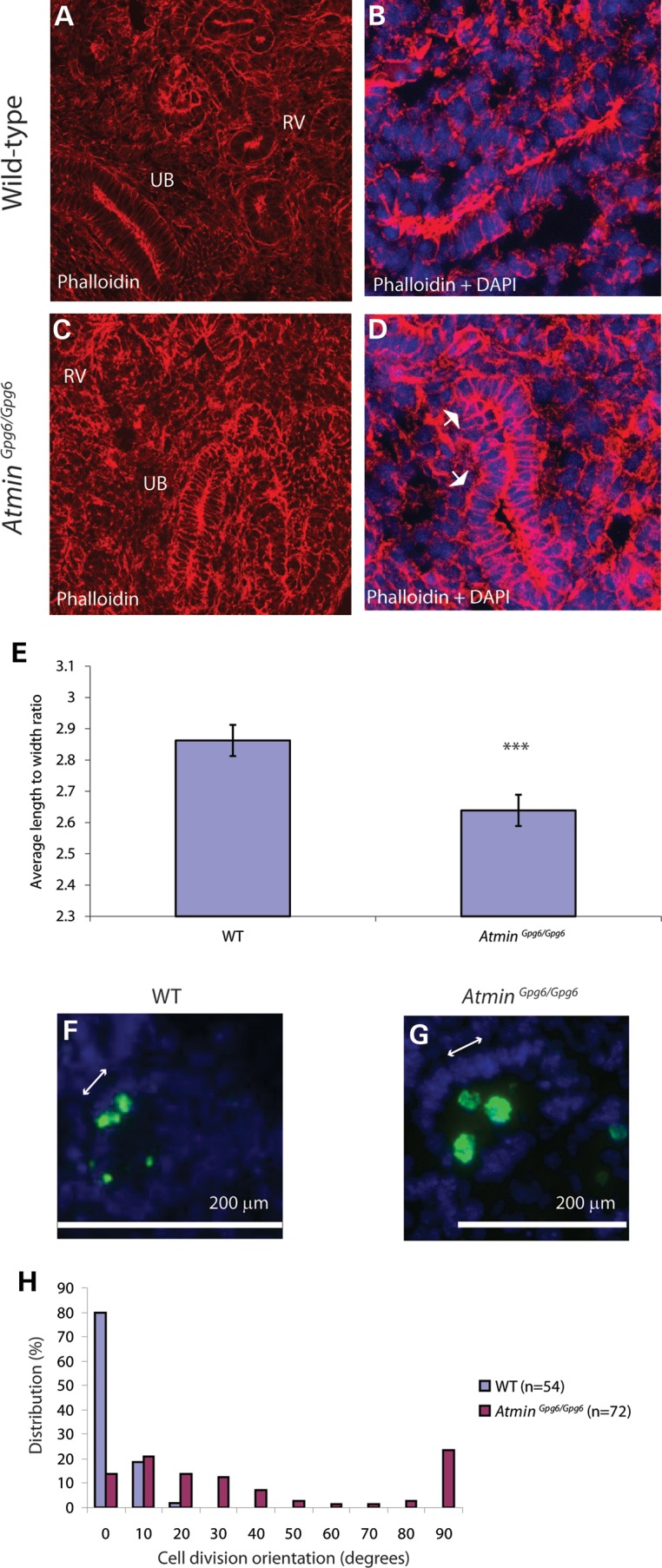 Figure 4.