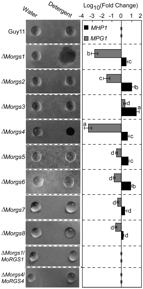 Figure 5