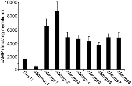 Figure 10