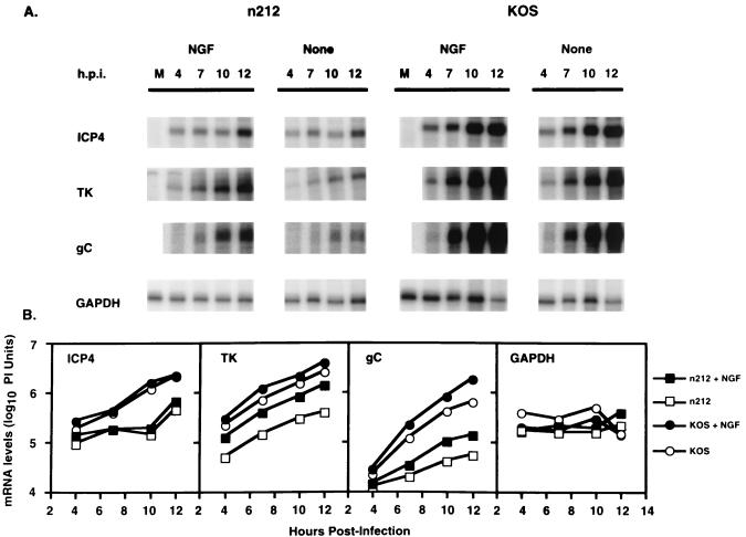 FIG. 6