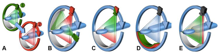 Fig. 5