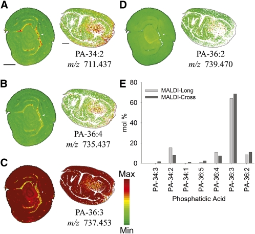 Figure 12.