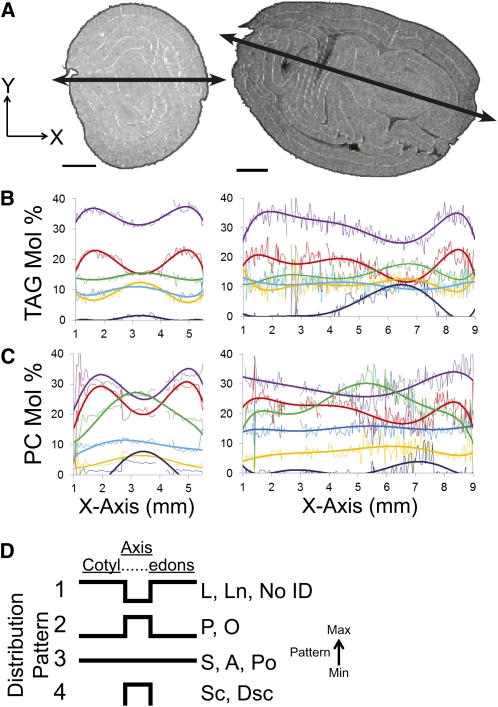 Figure 10.