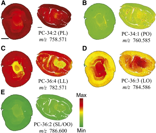 Figure 7.