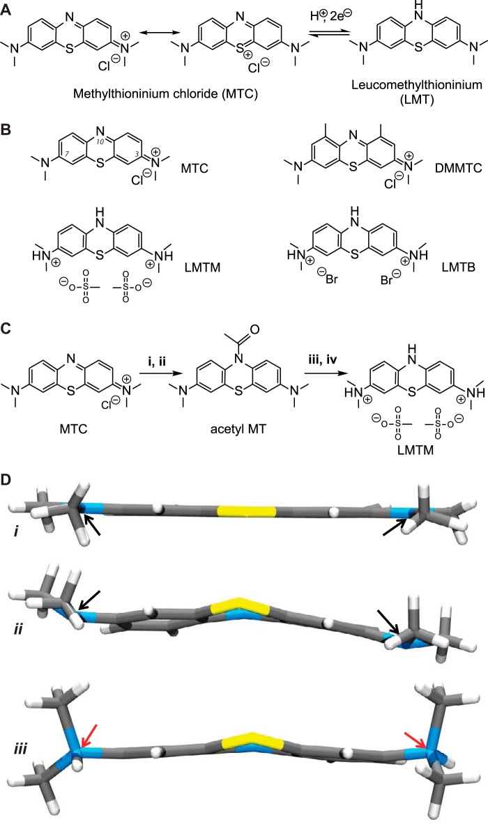 FIGURE 1.