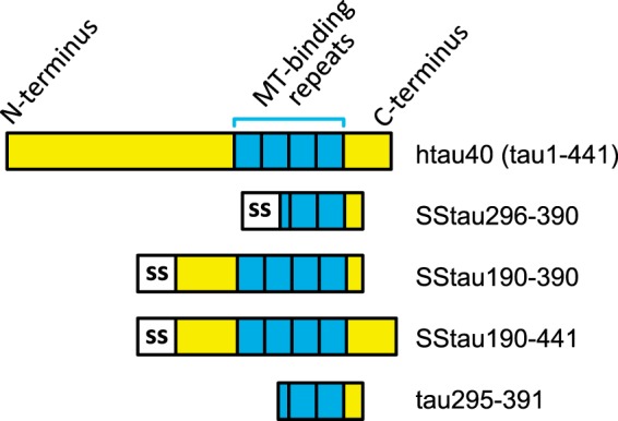 FIGURE 2.