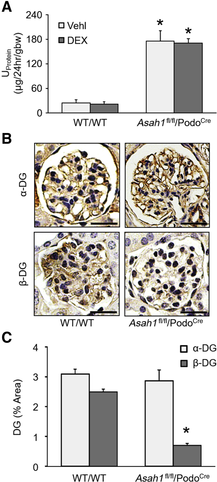 Figure 5