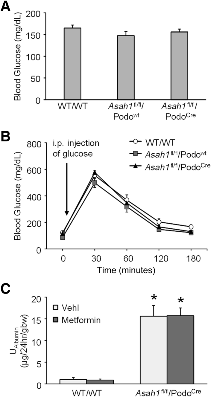 Figure 7