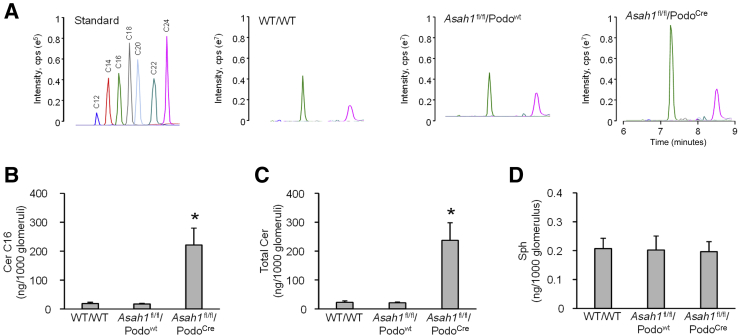 Figure 6