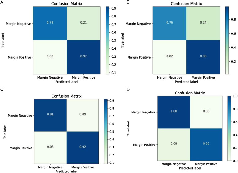 Squamous Cell Carcinoma of Skin Cancer Margin Classification From ...