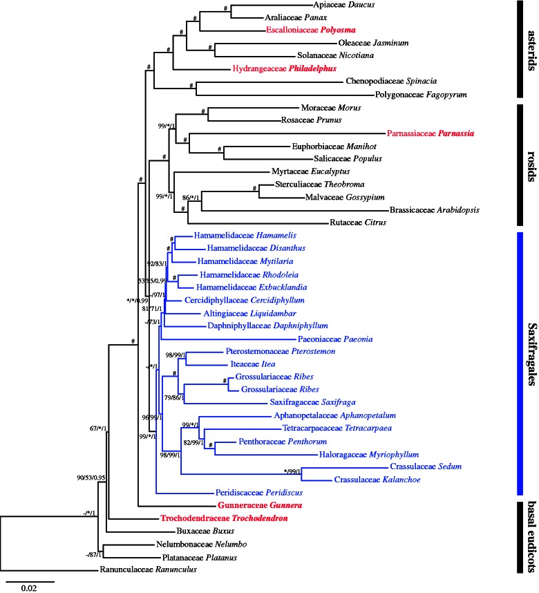 Fig. 3.—