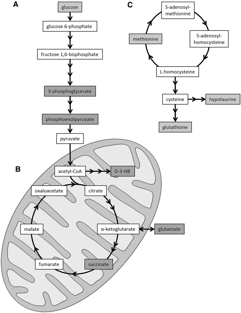 Fig. 5