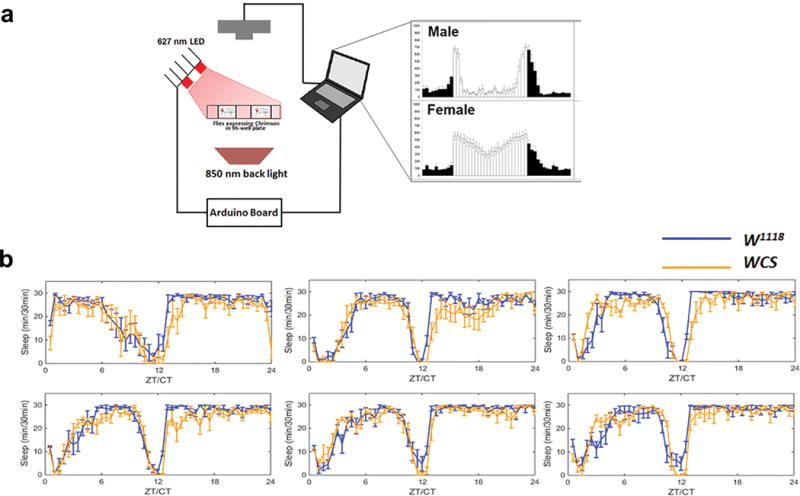 Extended Data Figure 1