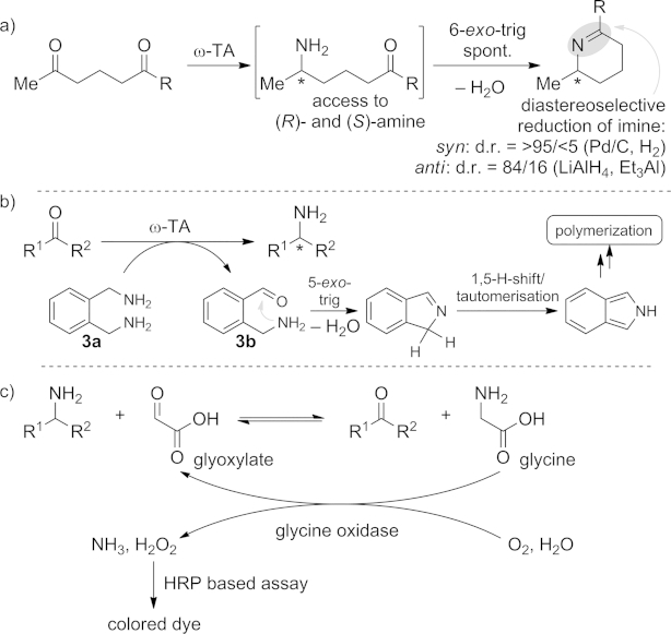 Scheme 2