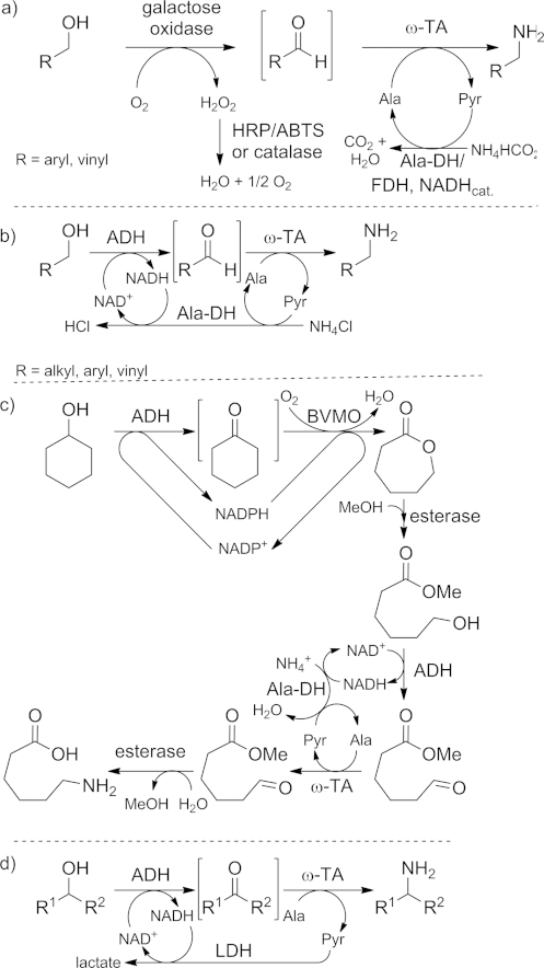 Scheme 3