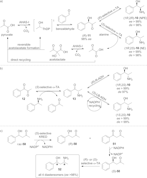 Scheme 8