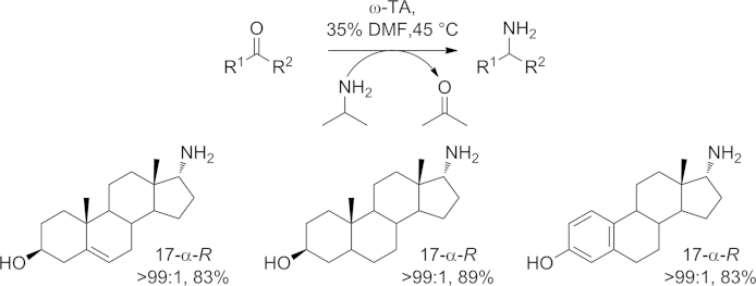 Scheme 18