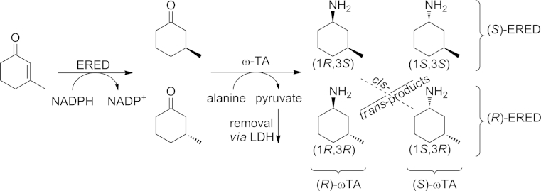 Scheme 7