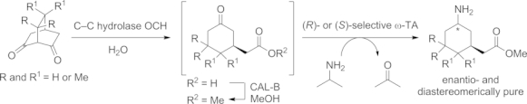 Scheme 9