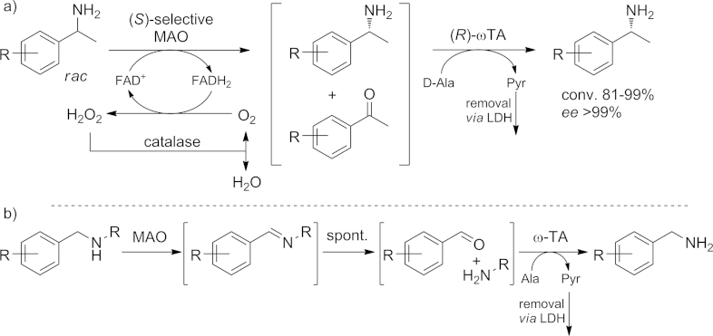 Scheme 11