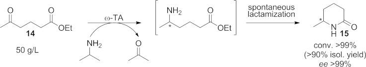 Scheme 13