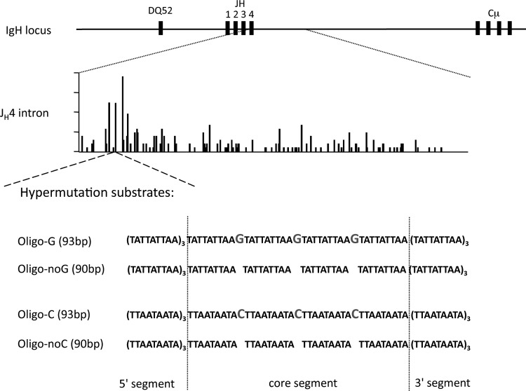 FIG 1