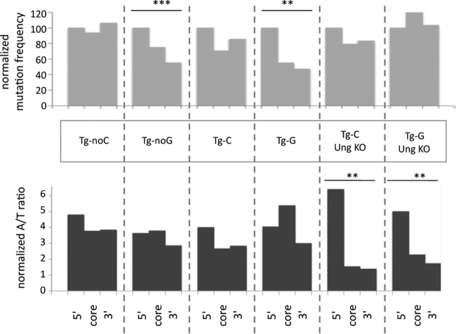 FIG 3