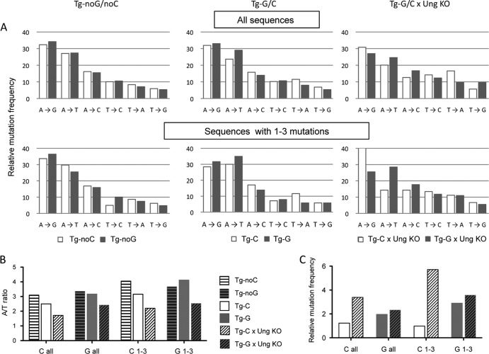 FIG 4