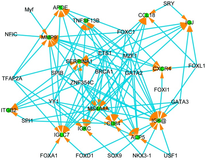 Figure 4