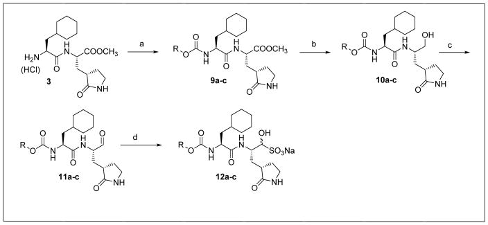 Scheme 2