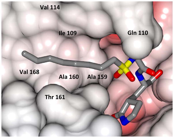 Fig. 10