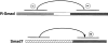 Figure 9.