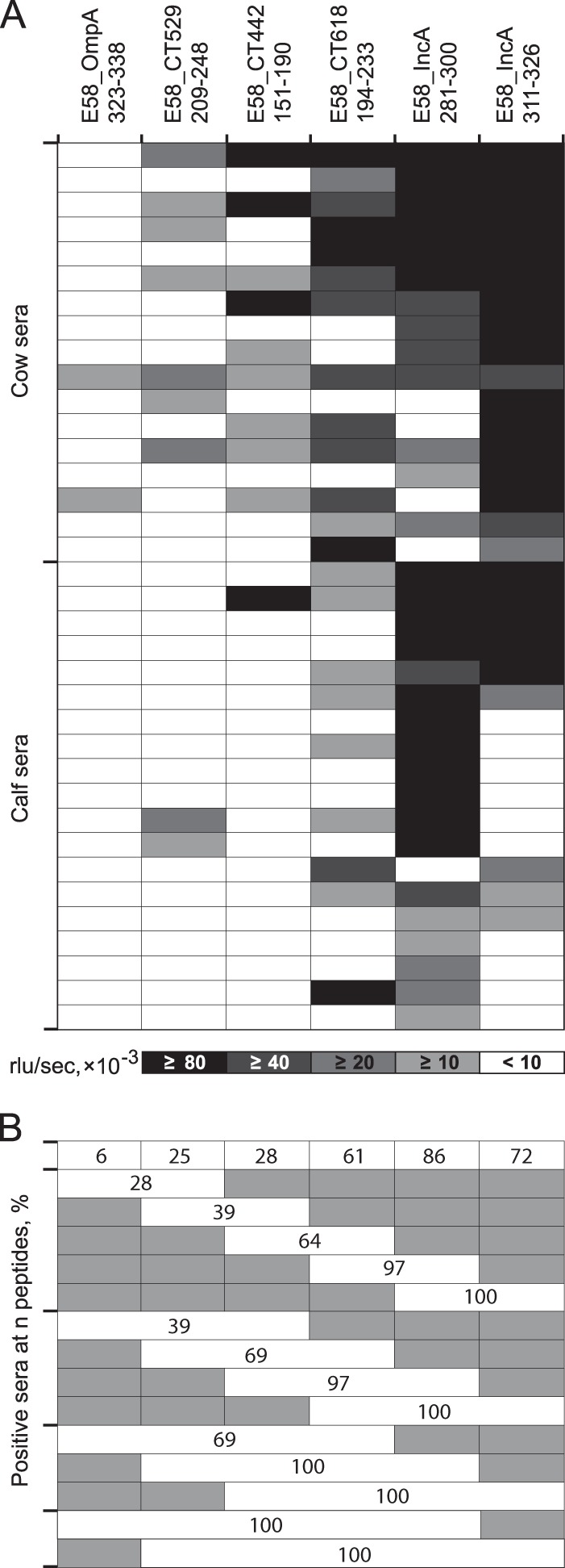 FIG 5