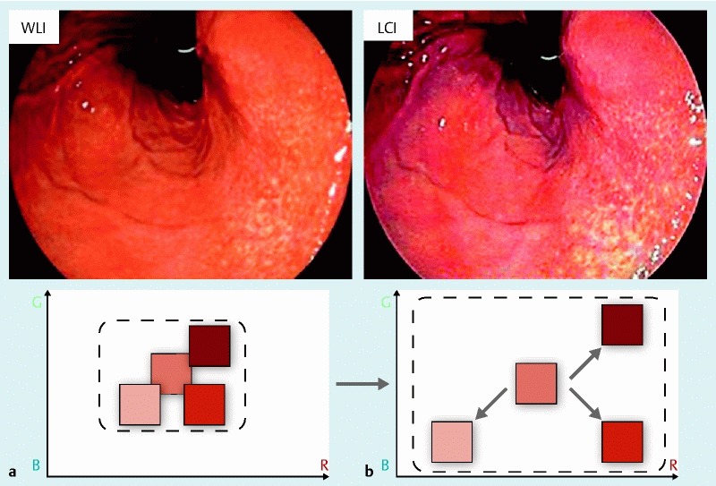 Fig. 1