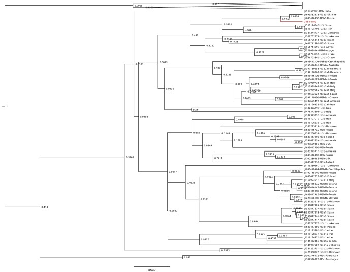 Figure 1—figure supplement 6.