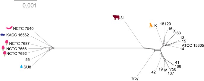 Figure 4—figure supplement 4.