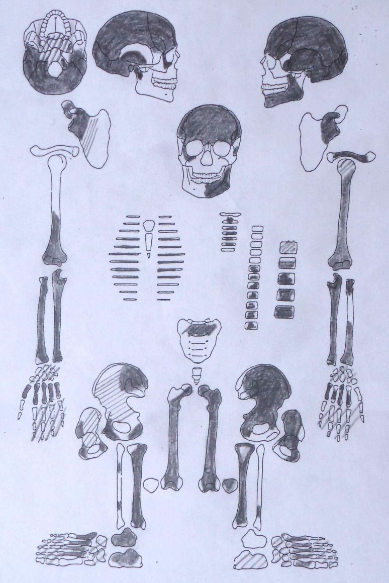 Figure 1—figure supplement 9.