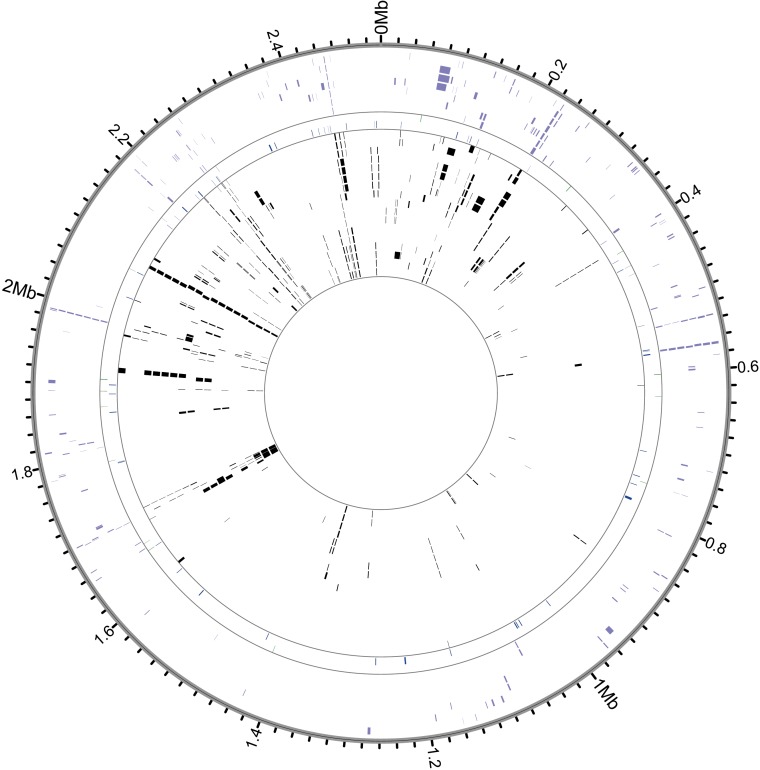 Figure 4—figure supplement 6.