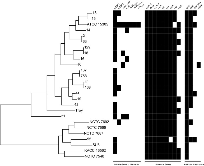 Figure 4—figure supplement 5.