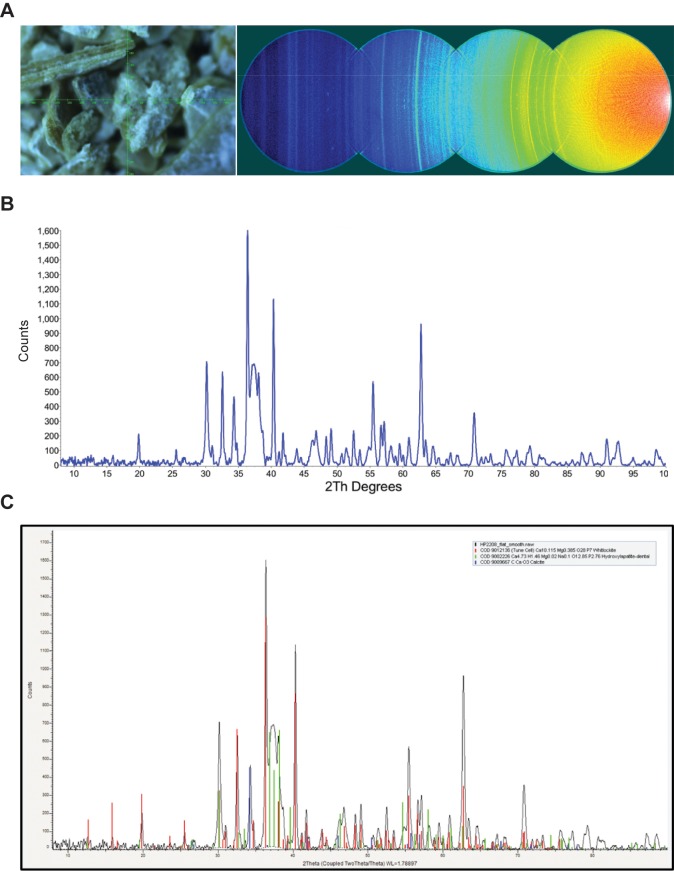 Figure 2—figure supplement 1.