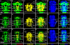 Figure 23