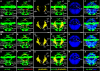 Figure 15