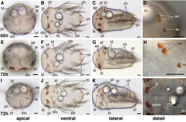 Figure 25